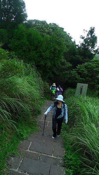 P1250240 (複製).JPG