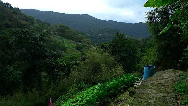 P1270876 (複製).JPG