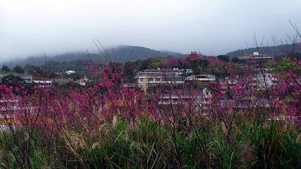 P1270902 (複製).JPG