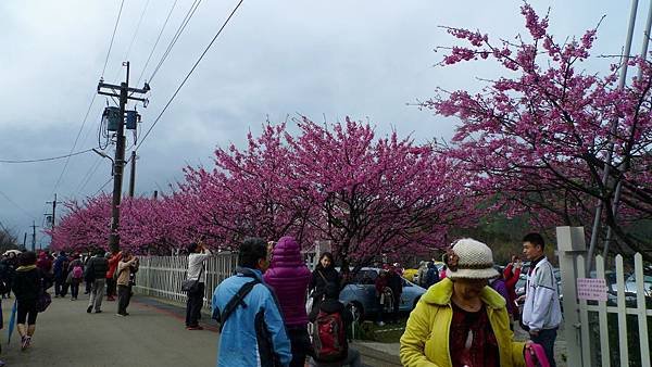 P1270915 (複製).JPG
