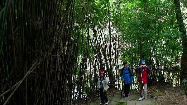 P1270953 (複製).JPG
