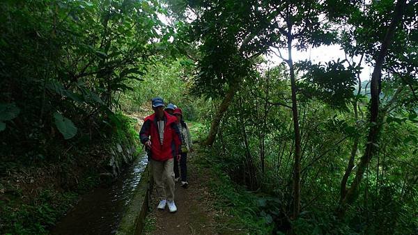 P1270986 (複製).JPG