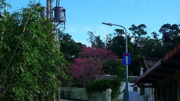 P1280039 (複製).JPG