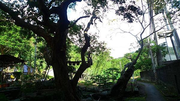 P1280050 (複製).JPG
