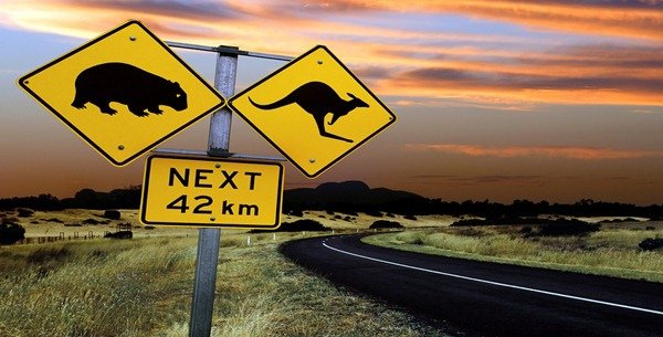 bigstockphoto_Australian_Road_Sign_19483611_thumb