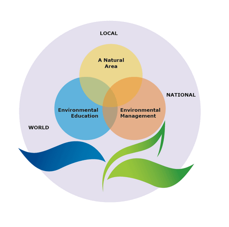 scenes_diagram_large.png