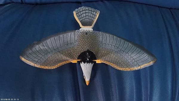 電動吊飛老鷹玩具 Flying Eagle Toy 