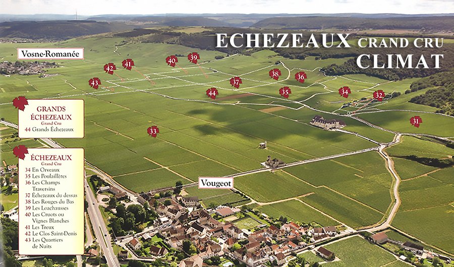 Echezeaux-Crand-Cru-Climat.jpg