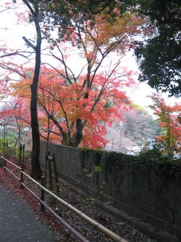 日本關西行