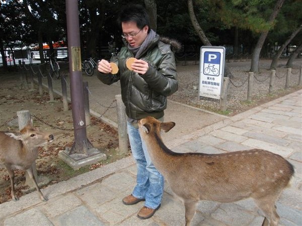 日本關西行