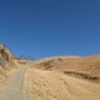IMG_6657.JPG