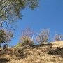 IMG_6660.JPG