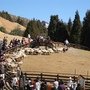 IMG_6673.JPG