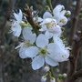 IMG_6717.JPG