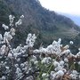 IMG_6720.JPG