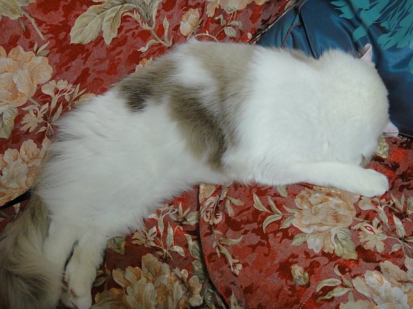 DSC03066.JPG