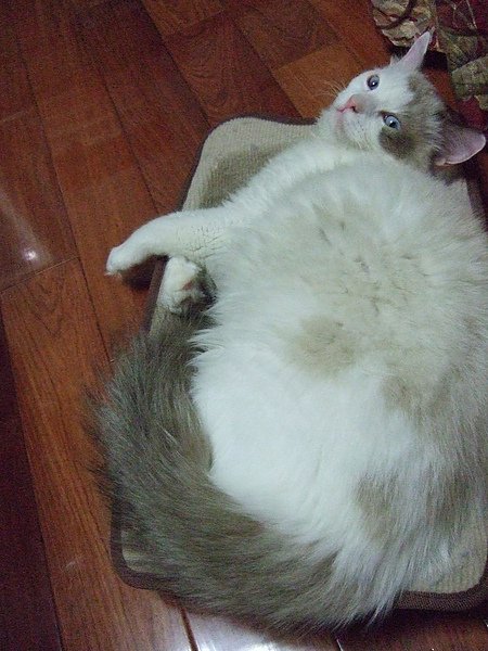 DSCF5971.JPG