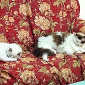 IMG_1090.JPG