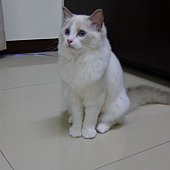 P1010641.JPG