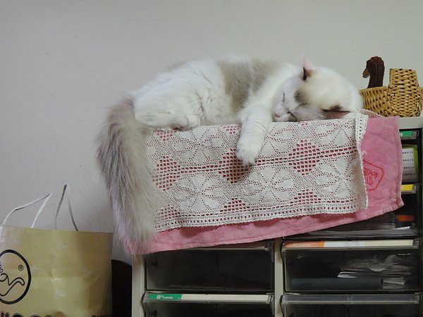 DSC00540.JPG
