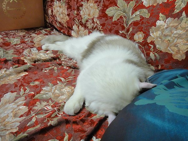 DSC03070.JPG