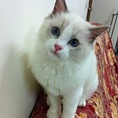 IMG_0828.JPG