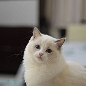 DSC_0160.JPG