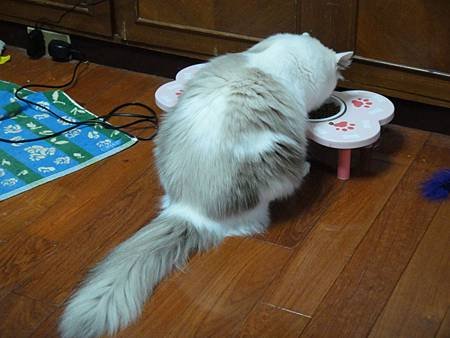 DSC02815.JPG