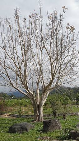DSC04380.JPG