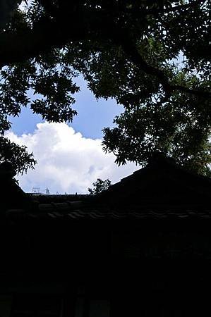 CIMG0032_調整大小.JPG