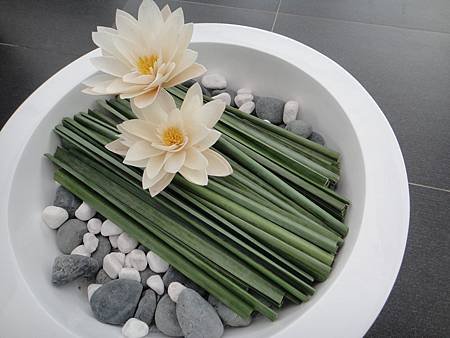 DSC08374_調整大小.JPG