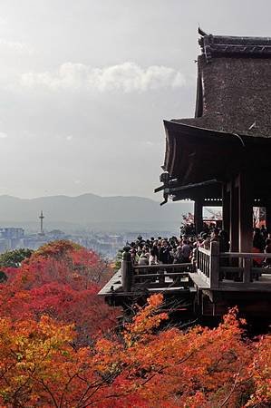CIMG0417_調整大小.JPG