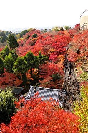CIMG0425_調整大小.JPG