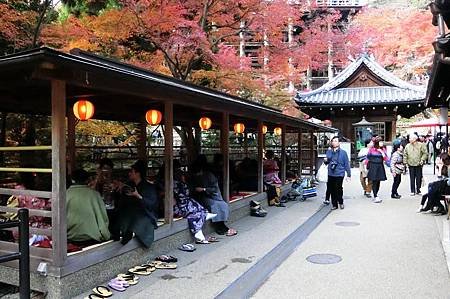 CIMG0450_調整大小.JPG