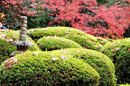 CIMG0568_調整大小.JPG