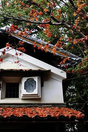 CIMG0596_調整大小.JPG