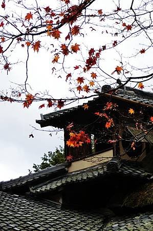 CIMG0600_調整大小.JPG
