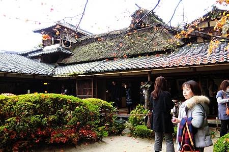 CIMG0599_調整大小.JPG