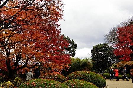 CIMG0617_調整大小.JPG