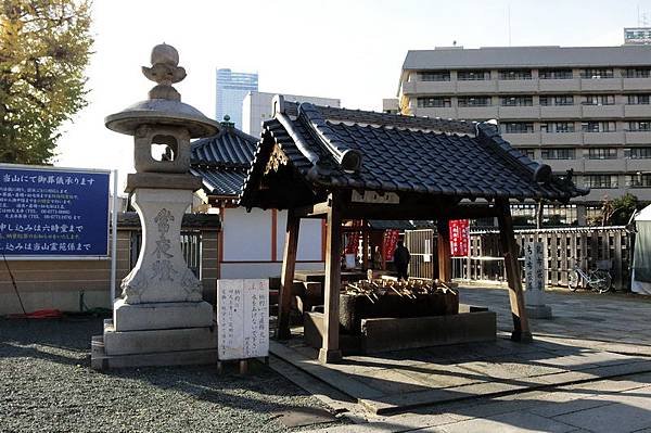 CIMG3084_調整大小.JPG