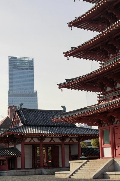 CIMG3117_調整大小.JPG