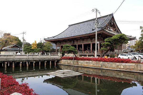 CIMG3165_調整大小.JPG