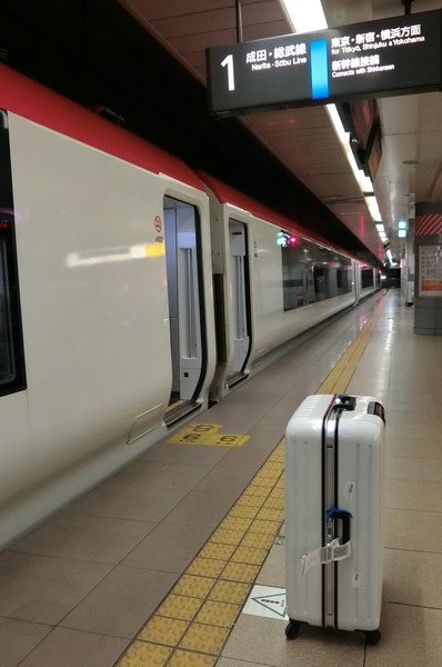 CIMG0041_調整大小.JPG