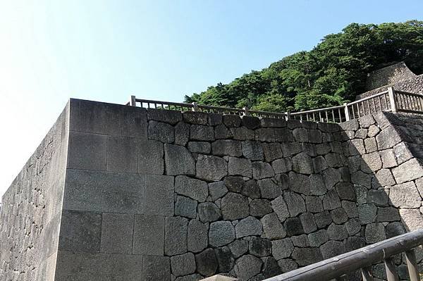 CIMG1137_調整大小.JPG