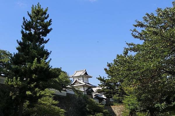 CIMG1139_調整大小.JPG