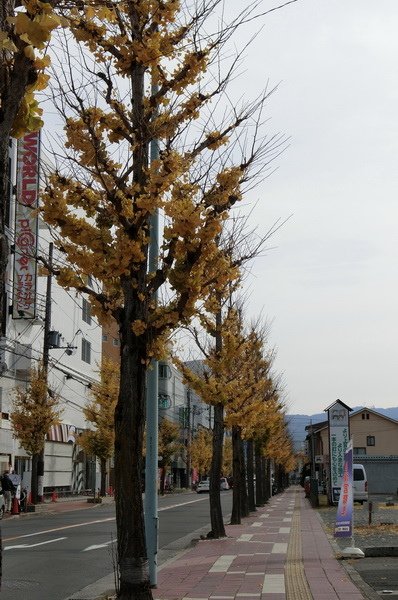 CIMG0646_調整大小.JPG