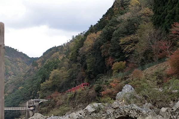 CIMG0724_調整大小.JPG