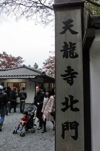 CIMG0803_調整大小.JPG