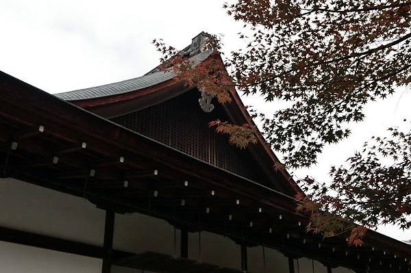 CIMG0817_調整大小.JPG