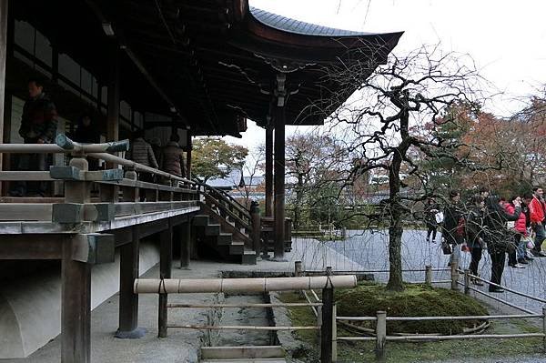 CIMG0821_調整大小.JPG